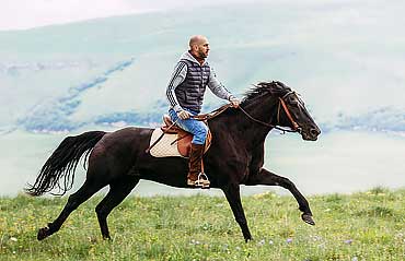 На Черноморском побережье. Сочи 